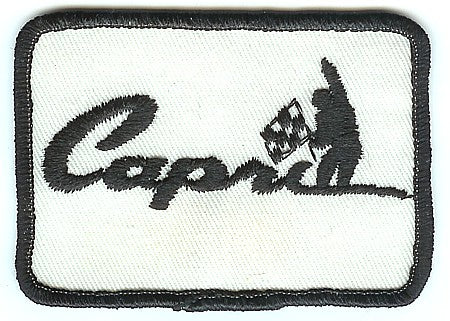 CAPRI PATCH (P4)