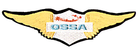 LARGE OSSA WING PATCH (J6)